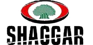 Shaggar City Logo